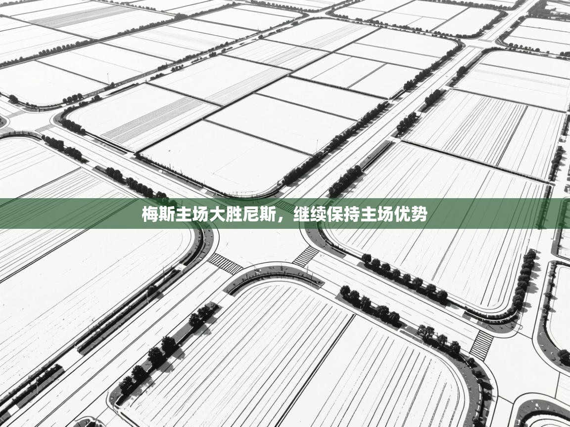 开云体育在线登入-梅斯主场大胜尼斯，继续保持主场优势  第1张