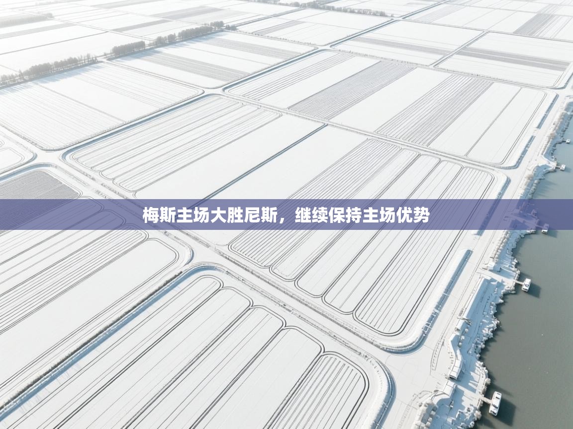 开云体育在线登入-梅斯主场大胜尼斯，继续保持主场优势  第3张