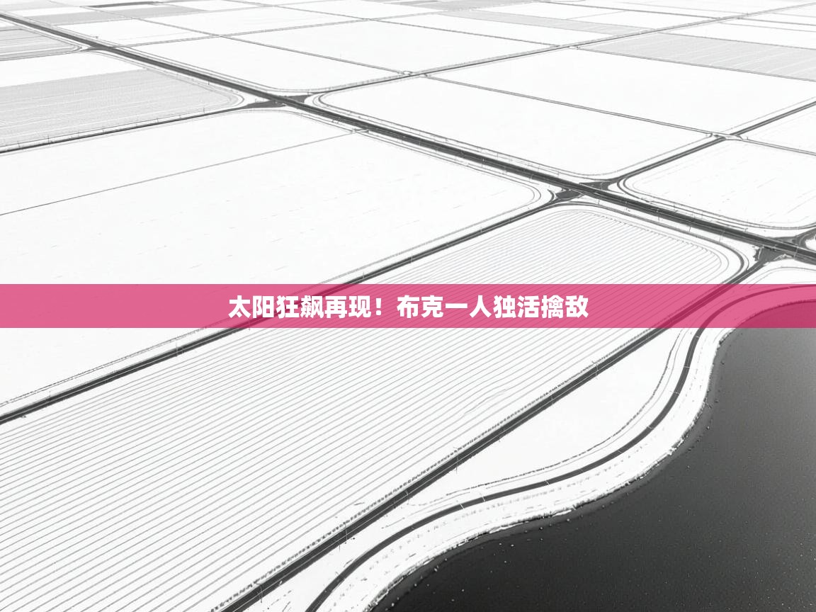 开云体育app下载入口-太阳狂飙再现！布克一人独活擒敌  第2张