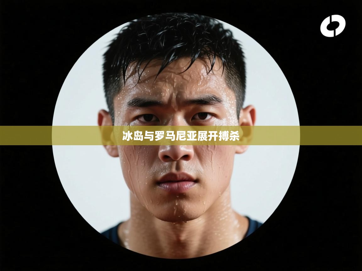 开云体育iOS安装教程-冰岛与罗马尼亚展开搏杀  第3张