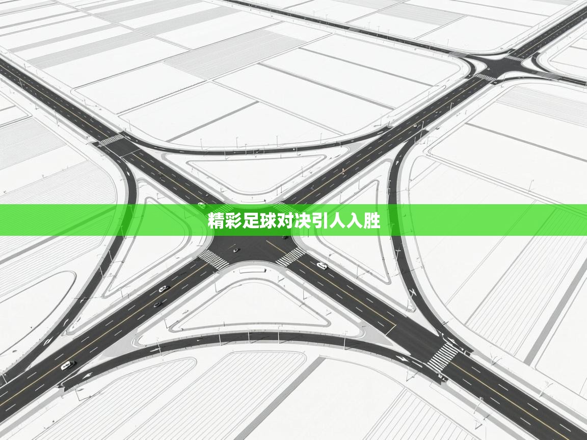 开云体育VIP权益说明-精彩足球对决引人入胜  第3张