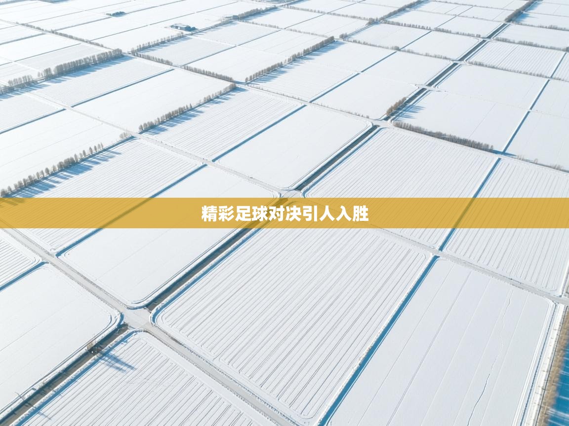 开云体育VIP权益说明-精彩足球对决引人入胜  第4张