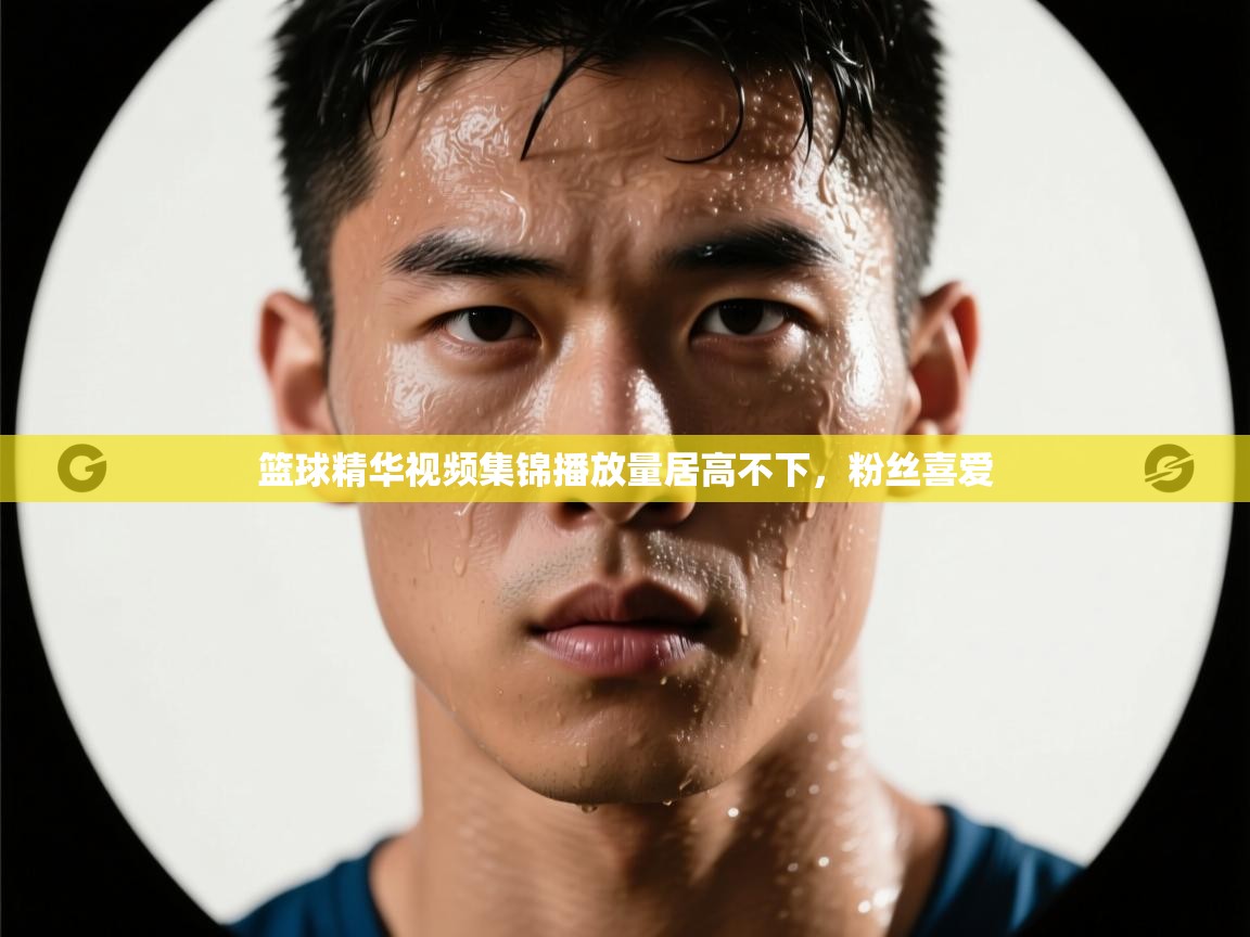 kaiyun sports-篮球精华视频集锦播放量居高不下，粉丝喜爱  第4张