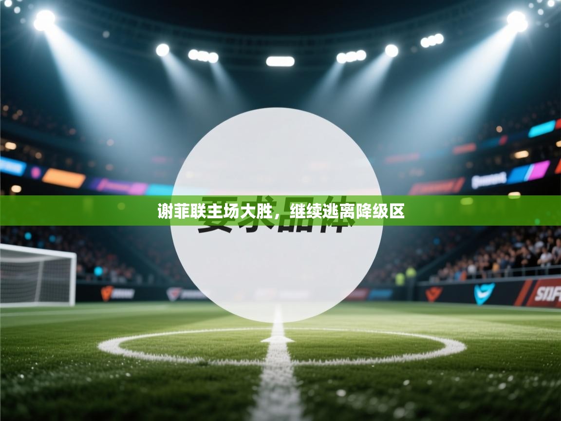 -谢菲联主场大胜,继续逃离降级区 第2张