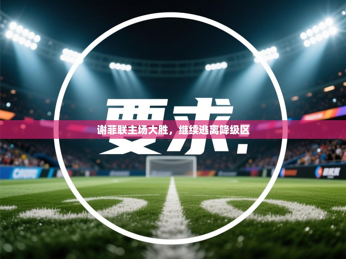 -谢菲联主场大胜,继续逃离降级区 第1张