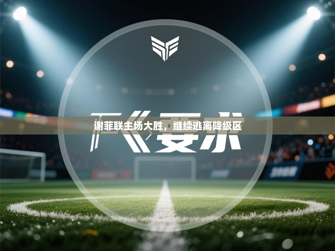 -谢菲联主场大胜,继续逃离降级区 第4张